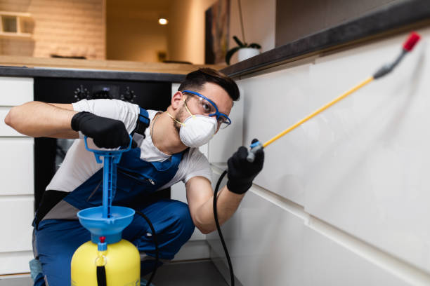 Best Pest Removal Services  in Odenton, MD