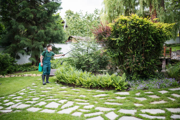 Best Mosquito Control Services  in Odenton, MD