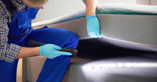 Best Best Pest Control Companies  in Odenton, MD
