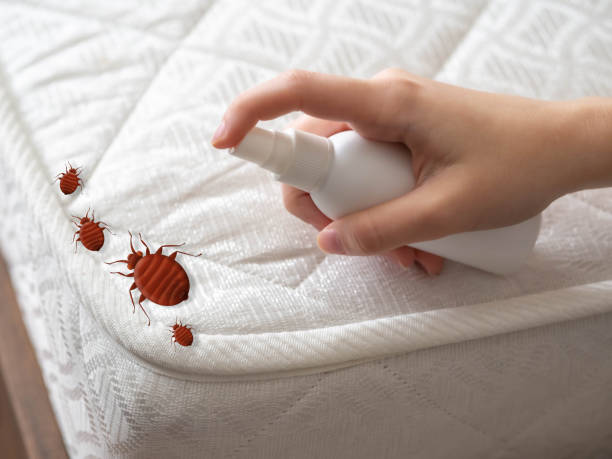 Best Emergency Pest Control  in Odenton, MD