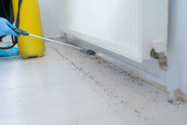 Best Residential Pest Control  in Odenton, MD