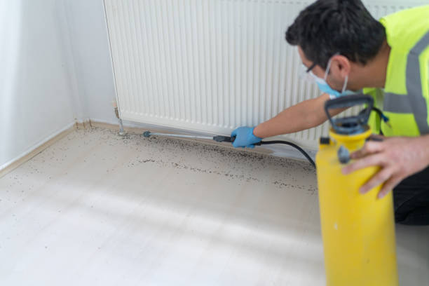 Pest Control Cost in Odenton, MD