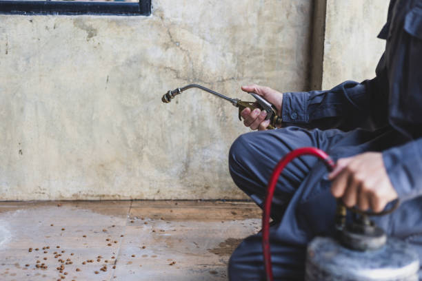 Best Pest Control Cost  in Odenton, MD